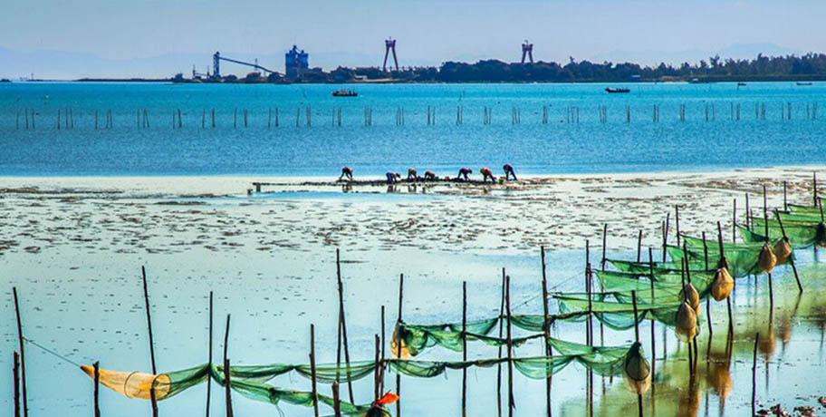 资源物产 资源物产