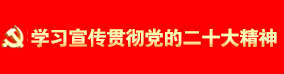 学习宣传贯彻党的二十大精神 学习宣传贯彻党的二十大精神