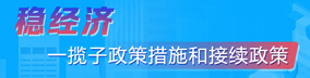 稳经济一揽子政策措施和接续政策 稳经济一揽子政策措施和接续政策